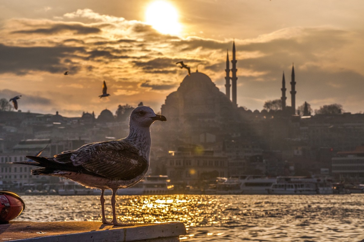 Eski İstanbul / Fikret Subatan
