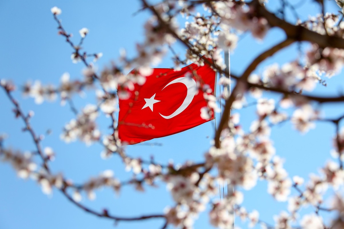 Hasret Bitecek / Mehmet Kök