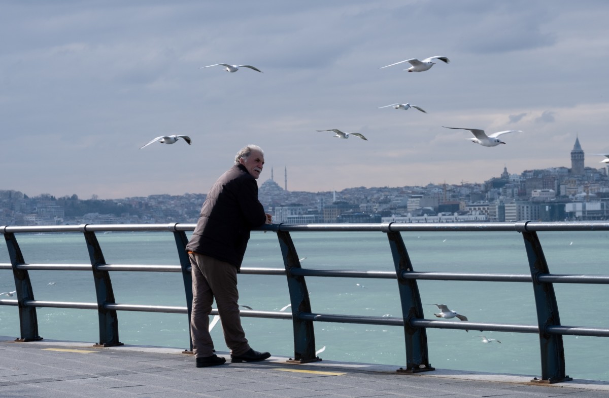 Umudun Yolu / Ayhan Demirel